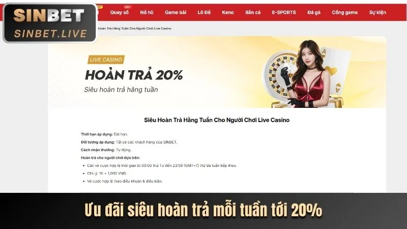 Thông tin thu thập bởi casino online vc